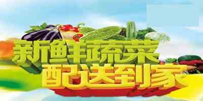 送新鲜菜上门app哪个好-上海送新鲜菜上门app-送新鲜菜上门app合集